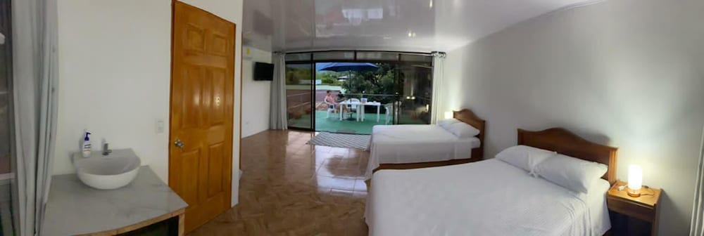 TRC Room's view 2