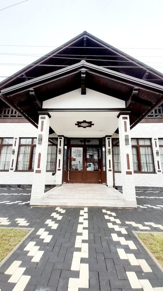 Vidra Dacica