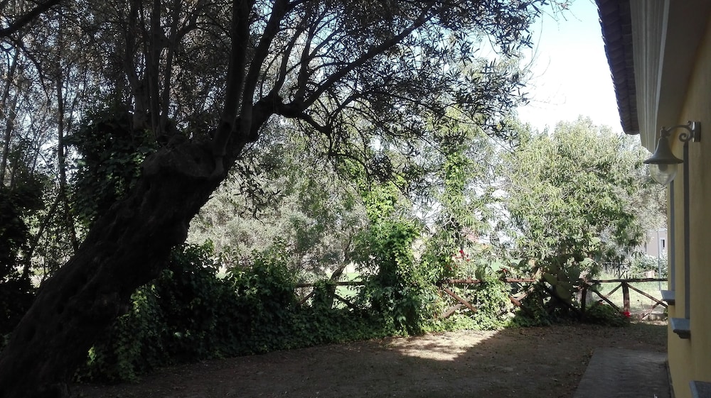 Tenuta Castellesi