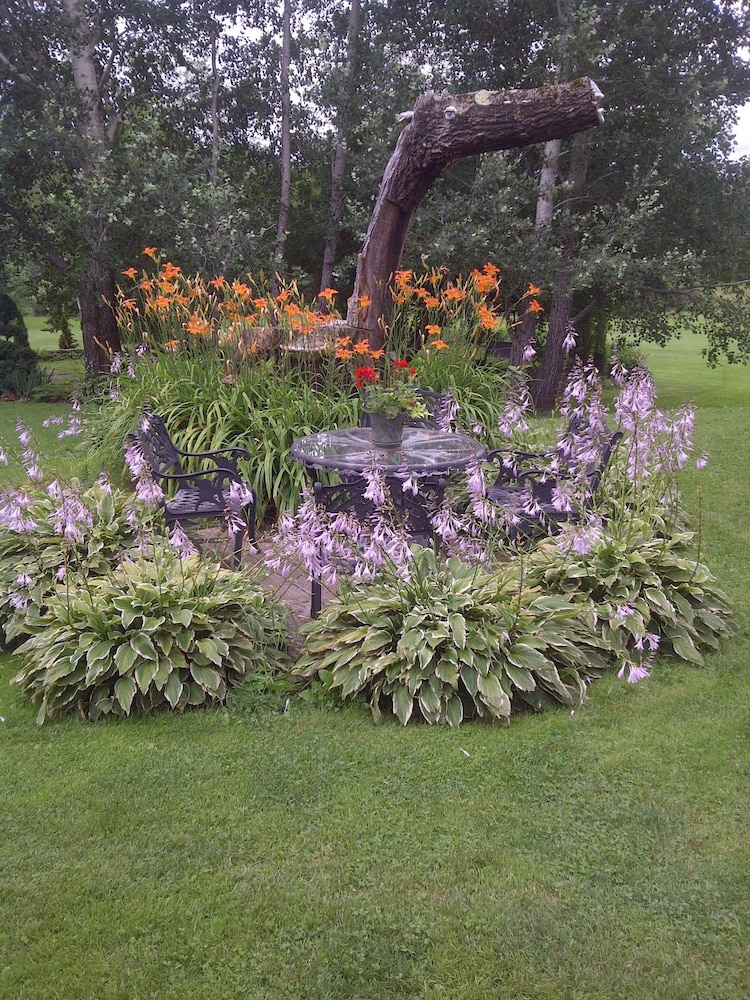The Briarwood B&B