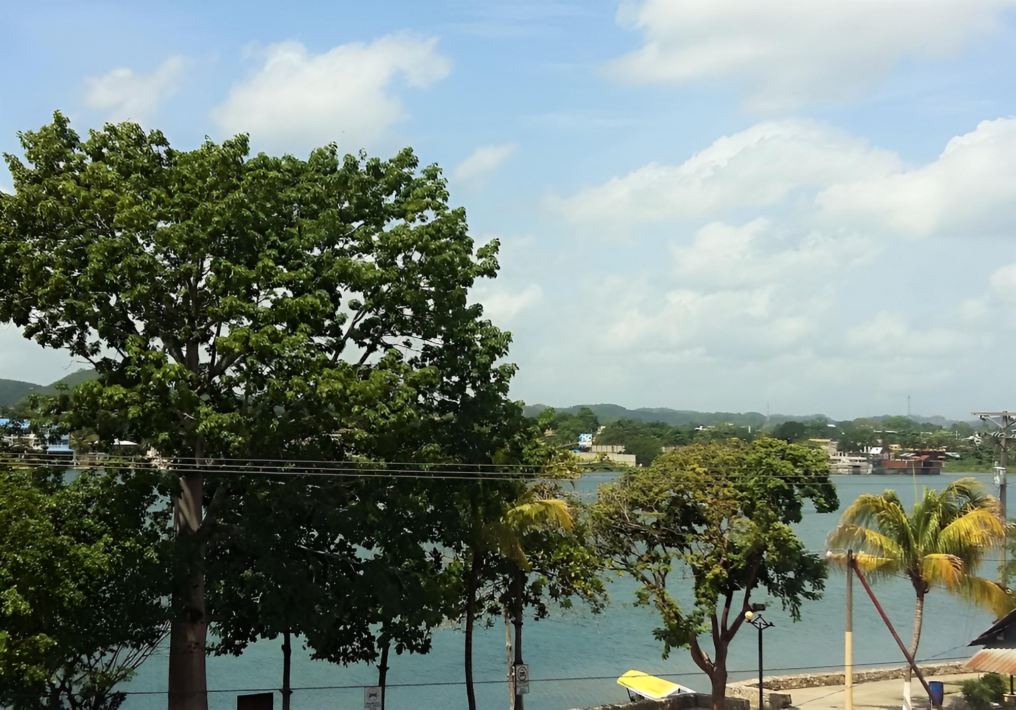 Flores de Peten
