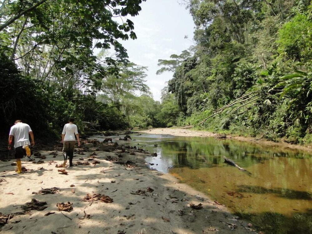 Grand Selva Lodge & Tours