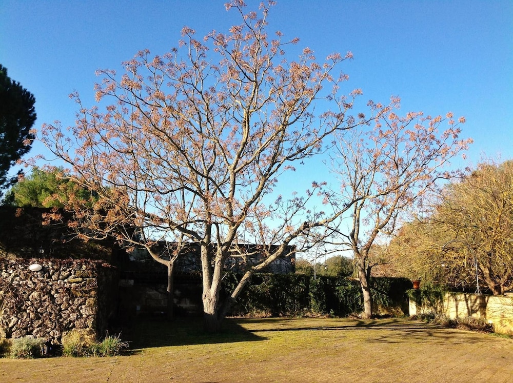 Tenuta Sant'Andrea