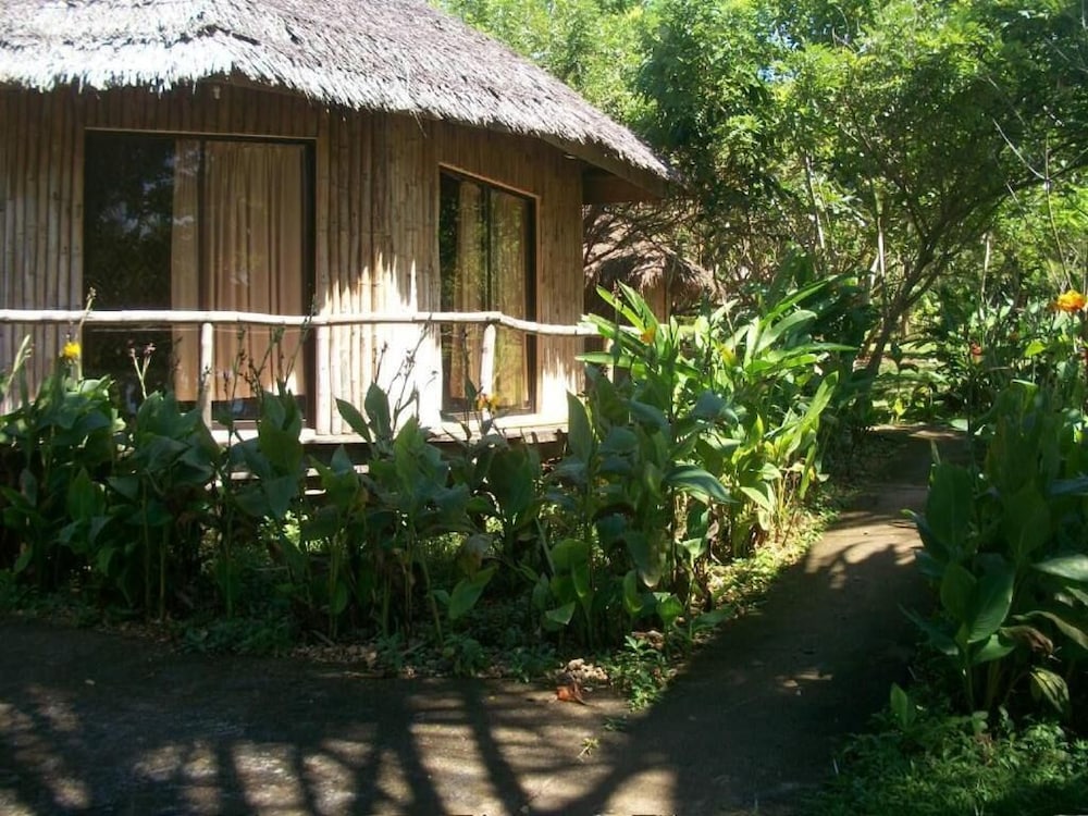 Toris Backpackers Paradise