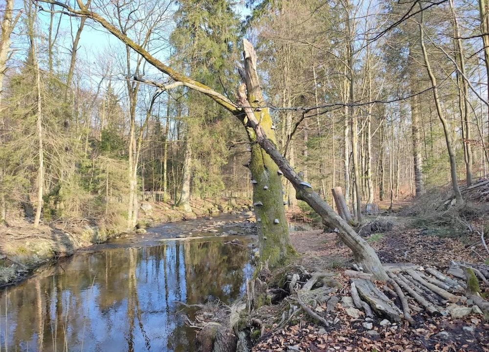 Ferienhauser im Schierke Harzresort, Schierke