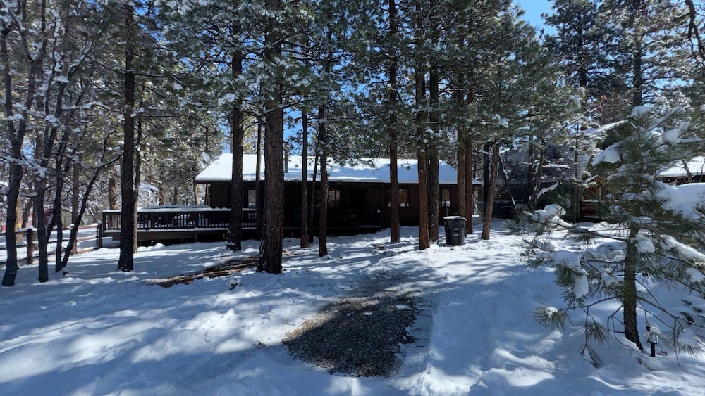 Grizzly's Getaway