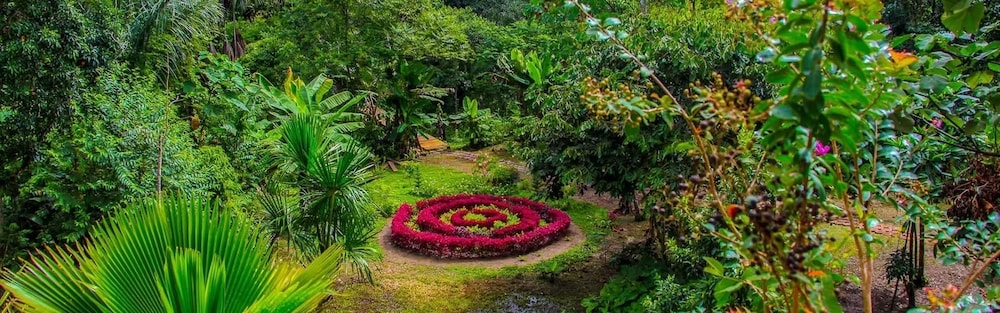 Lakshmi Ecolodge and Holistic Spa
