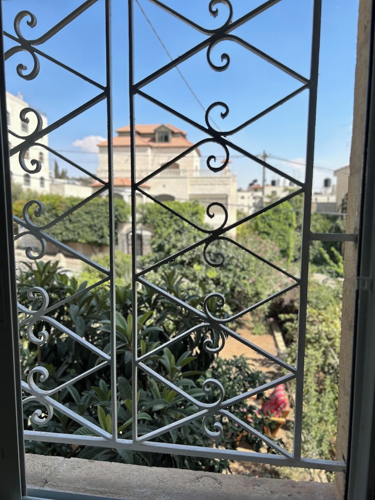 OliveTreeHostel, photo 72