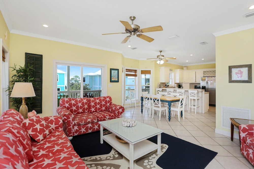 Cape Palms