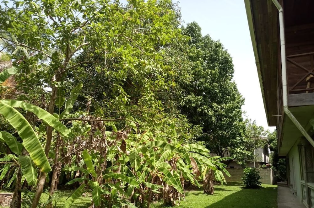 Photo 42
