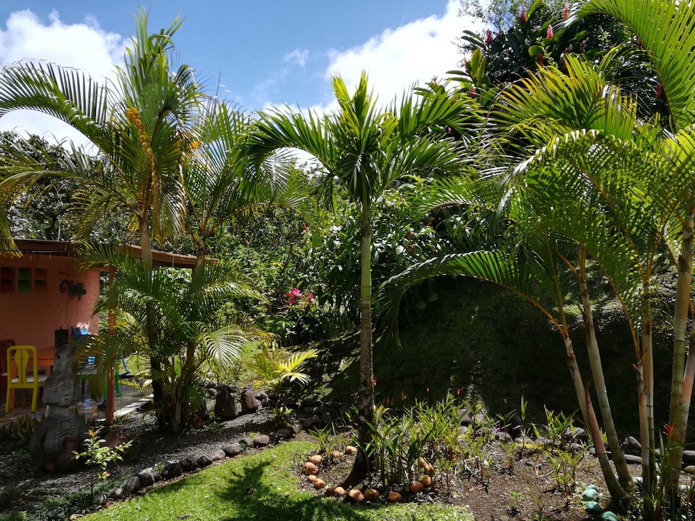 Encantada Guest House: Spectacular View & Excellent Reviews