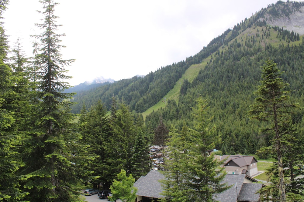 Crystal Chalets Condominiums at Crystal Mountain Ski Resort