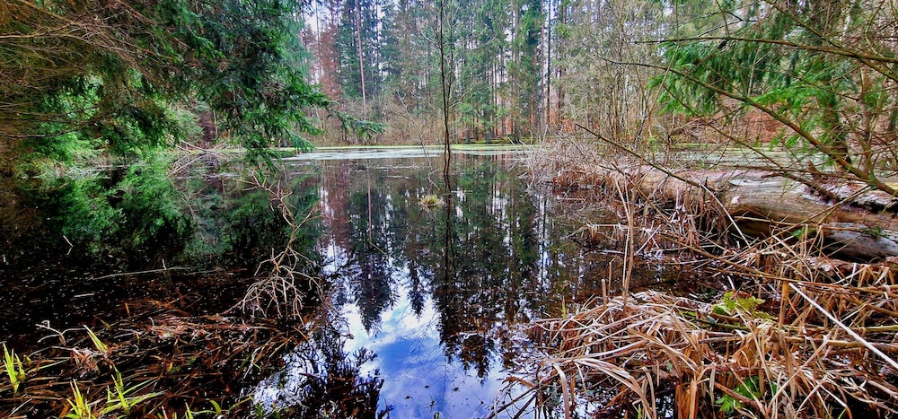 Dwór Uradz