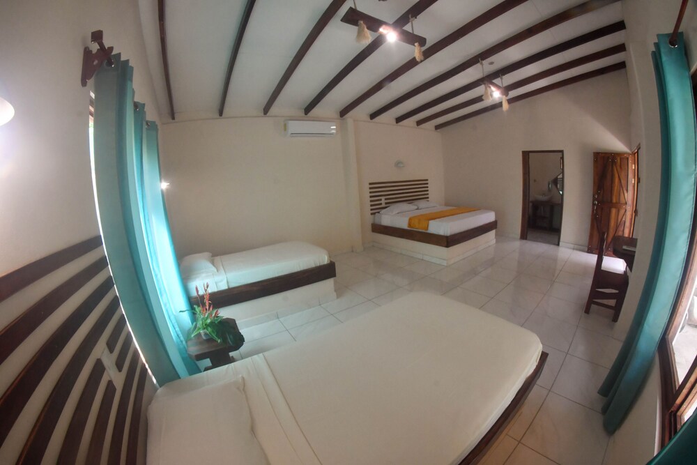 Tarcoles Birding Lodge