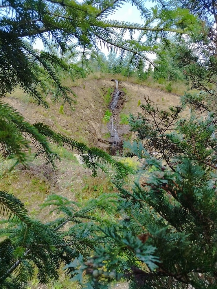 Pensiunea Poiana Izvoarelor