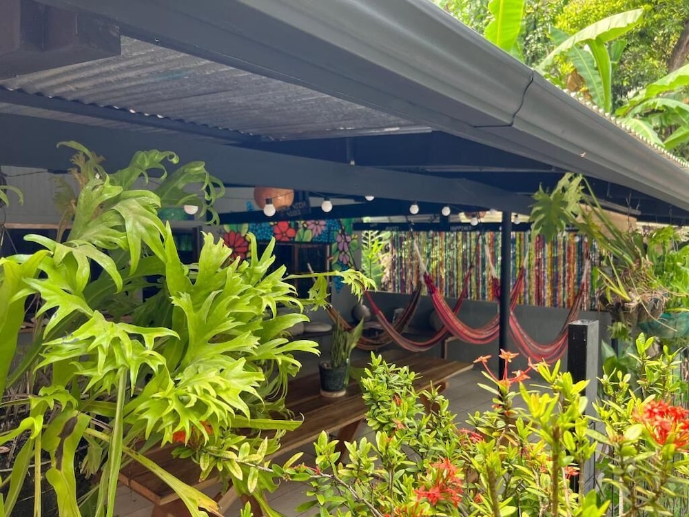 Hostel Pura Vida