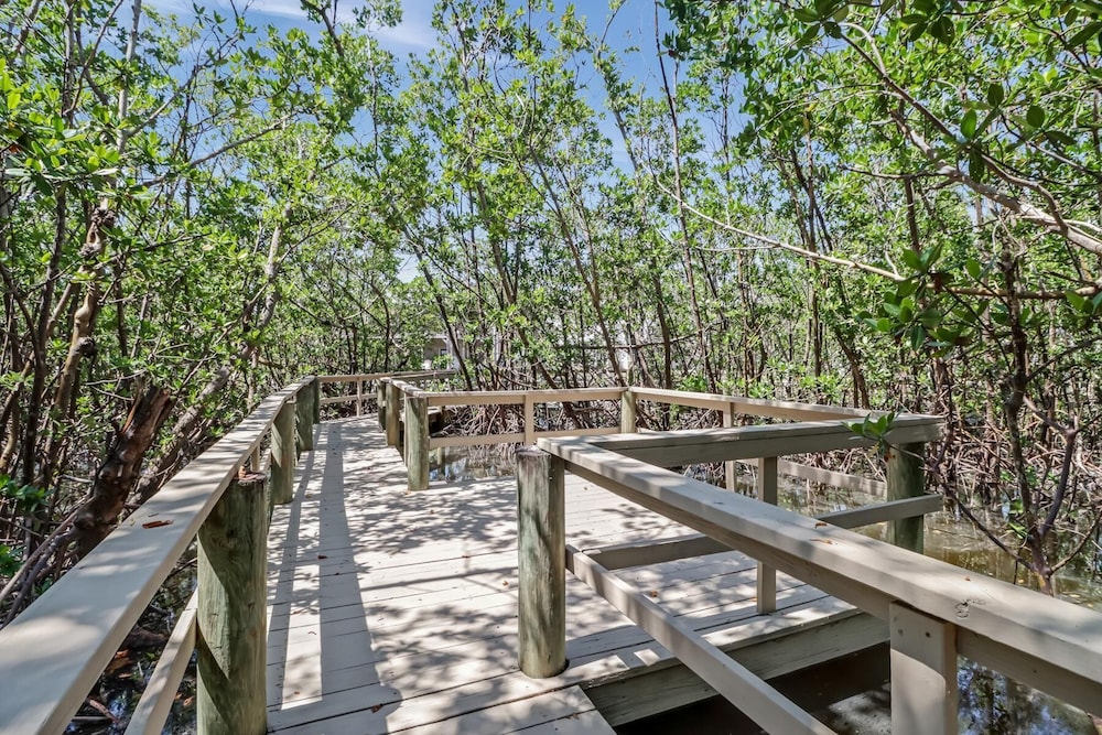 Flamingo Bayou A