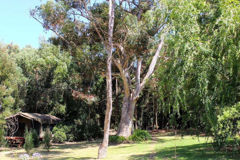 Tri Active Lodge