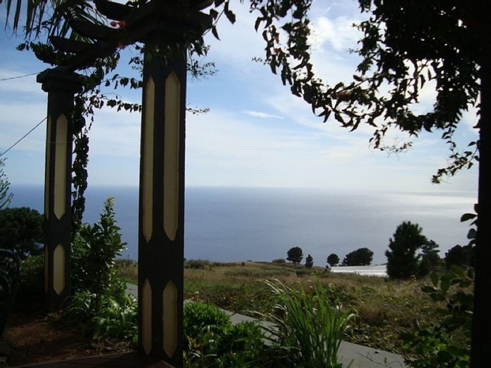 Cavalinho Palheiro in Madeira