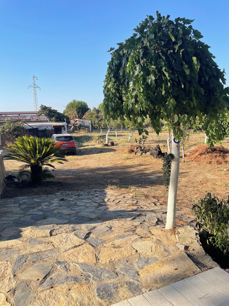 Saygın Çiftliği