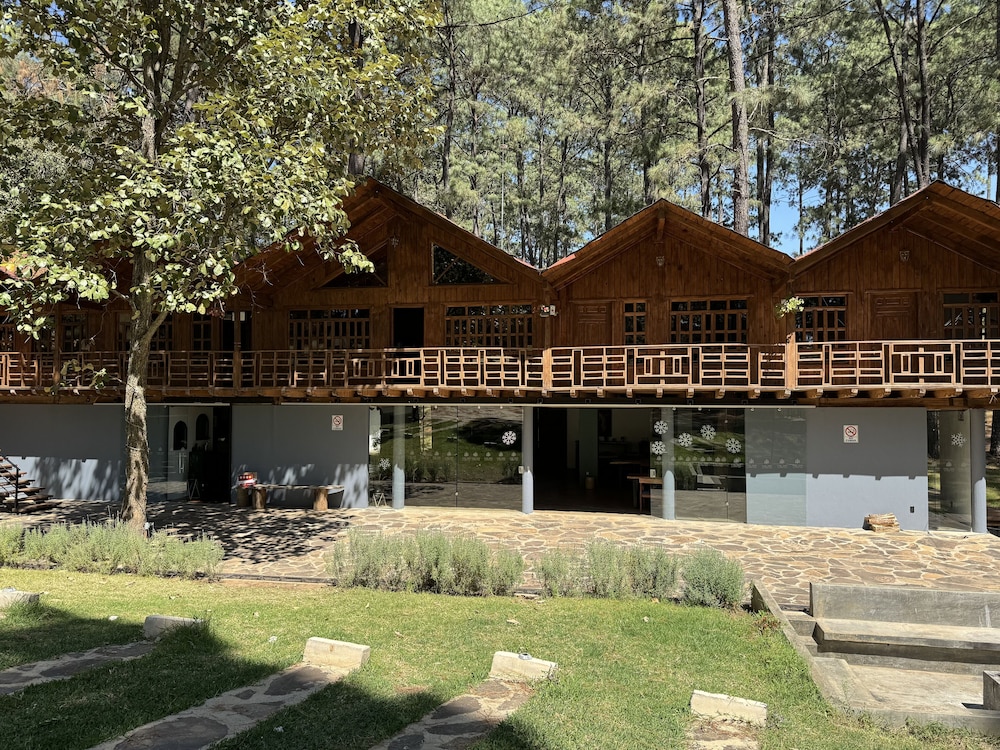 Hotel PINE TREE Hotel Boutique & Cabañas - Image 1