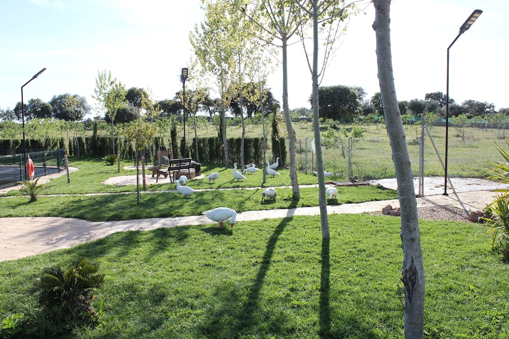 COMPLEJO RURAL LA PALOMA view 3