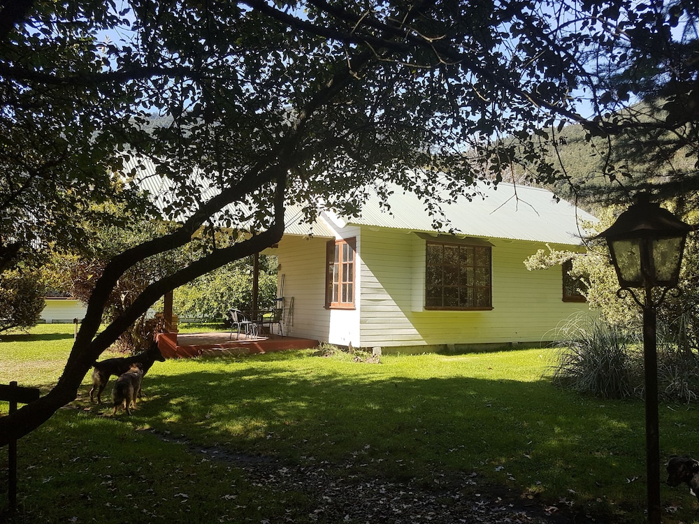 Photo 22
