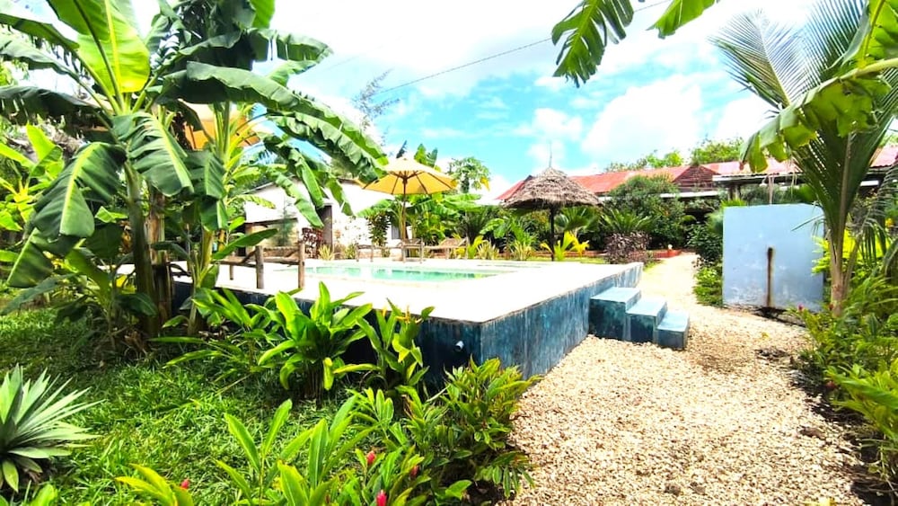 zanzllywood hotel and apartments