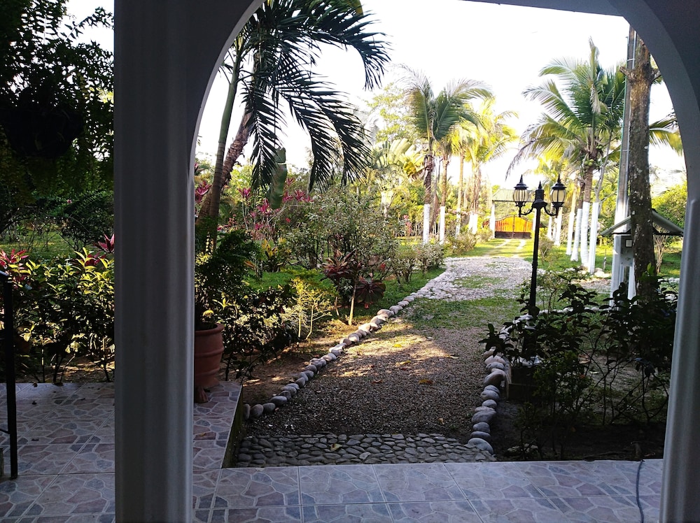 Photo 44