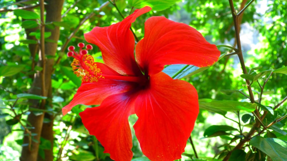 Simge Pansiyon - Image 29