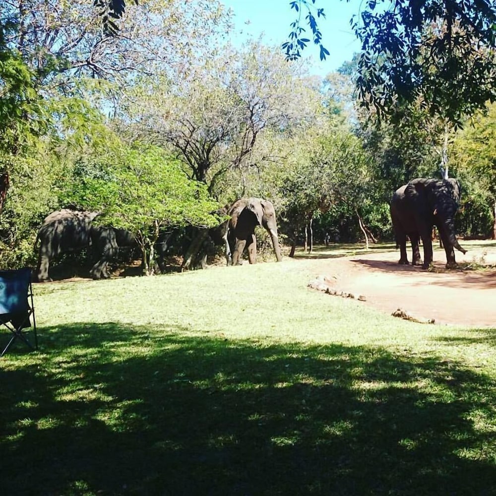 The Royal Sichango Village