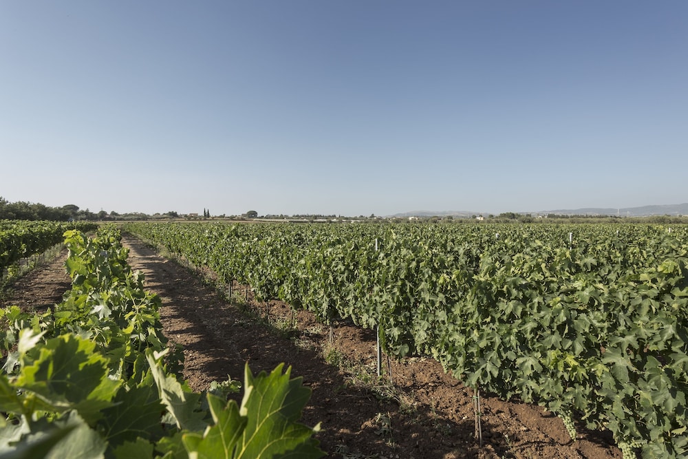Villa Zottopera photo 4
