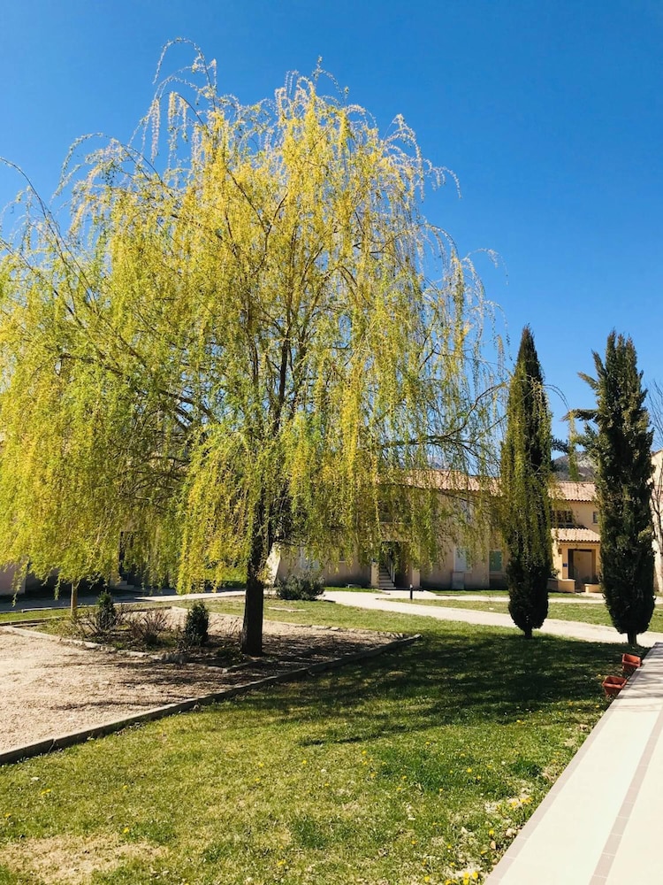 Photo 6