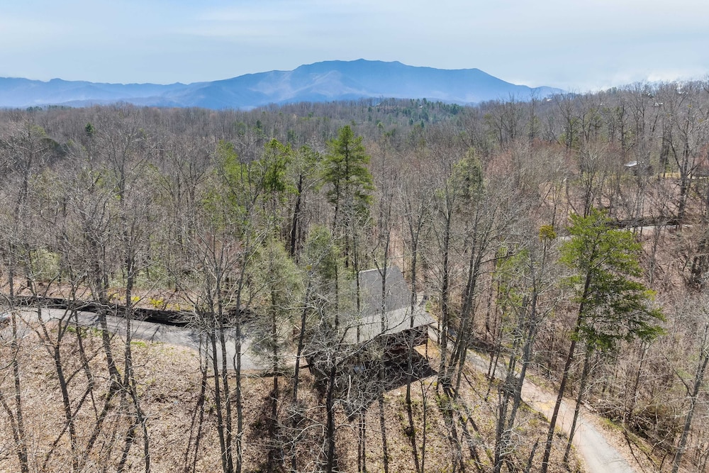 Sleeps 20 3 Cabins w/ Hot Tubs, Game Room, Fire Pit Dudley Trio by Avantstay