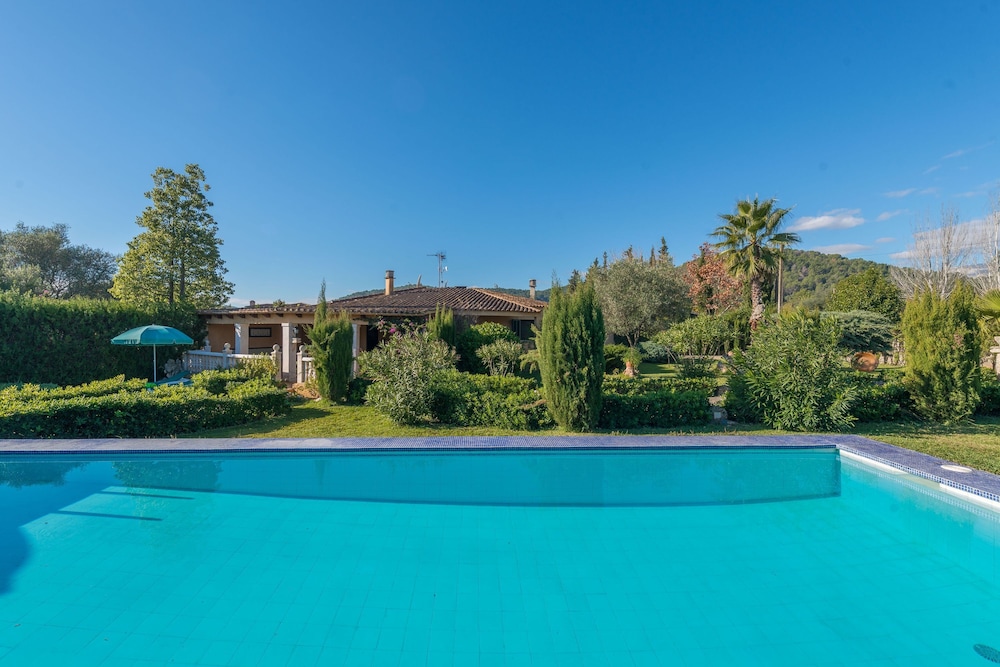 Hibiscus in Sa Pobla photo 4