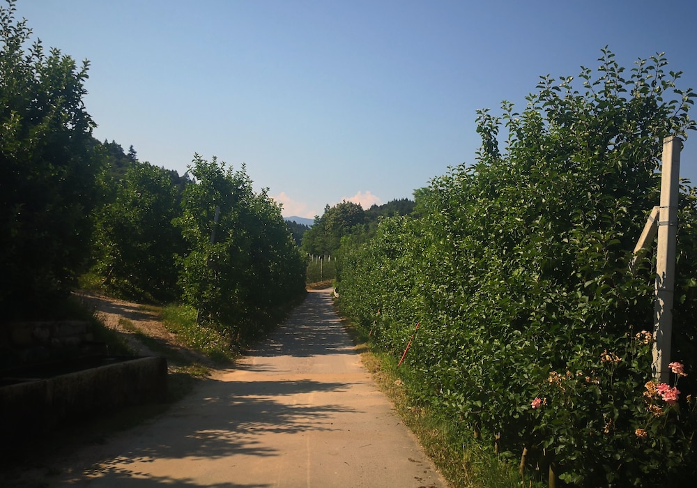 Photo 33