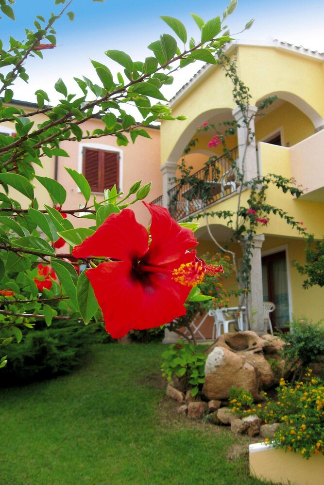 Flat With Communal Pool in the Residence Badus in Badus-formerly TUI Ferienhaus