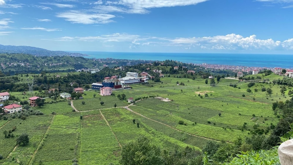 Bologina Suit Bungalov