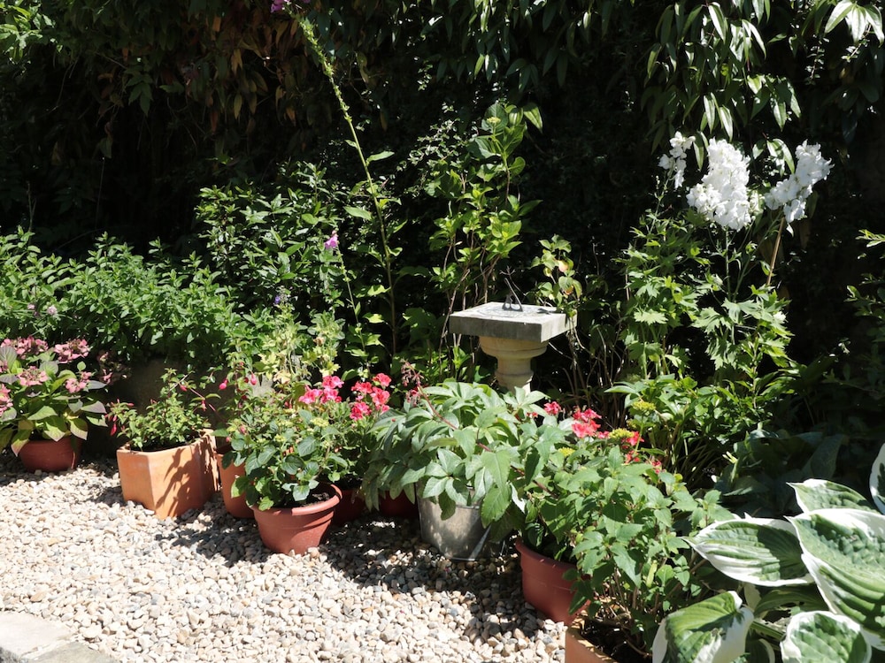 Photo 42