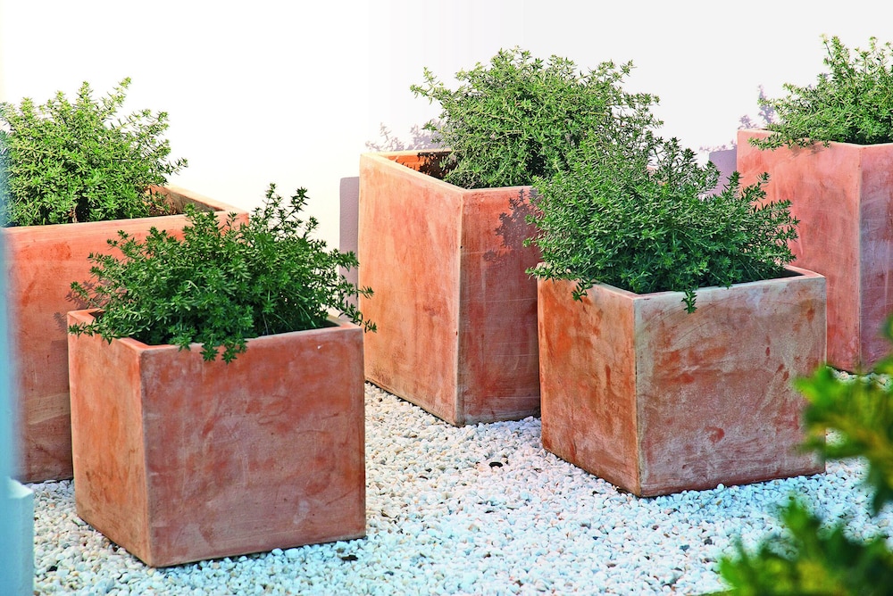 Apartamentos Sivella photo 2