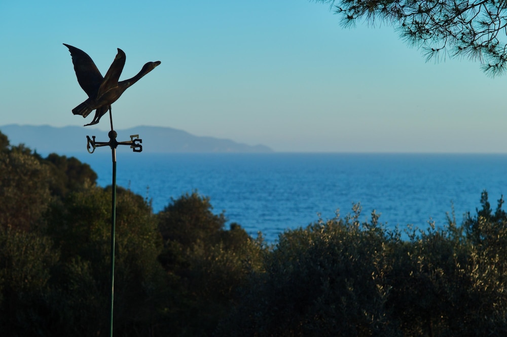 Orbetello Vacations - Villa Maremma Mare Magical Historic Villa With Pool on Tuscany Coast - Property Image 5