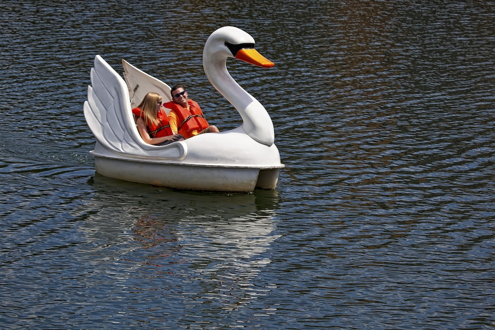 Photo 45