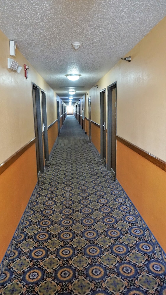 Photo 49