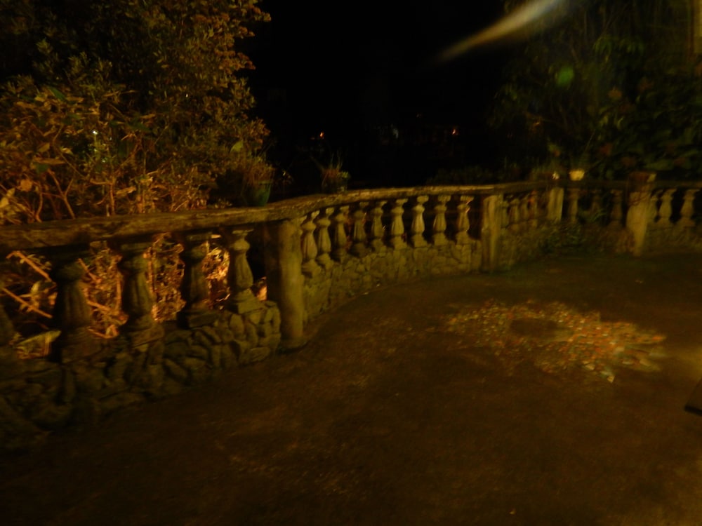 Photo 42