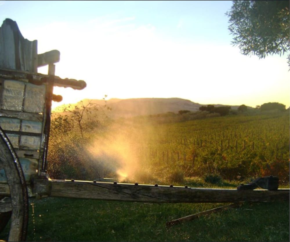 Bodega Doña Felisa