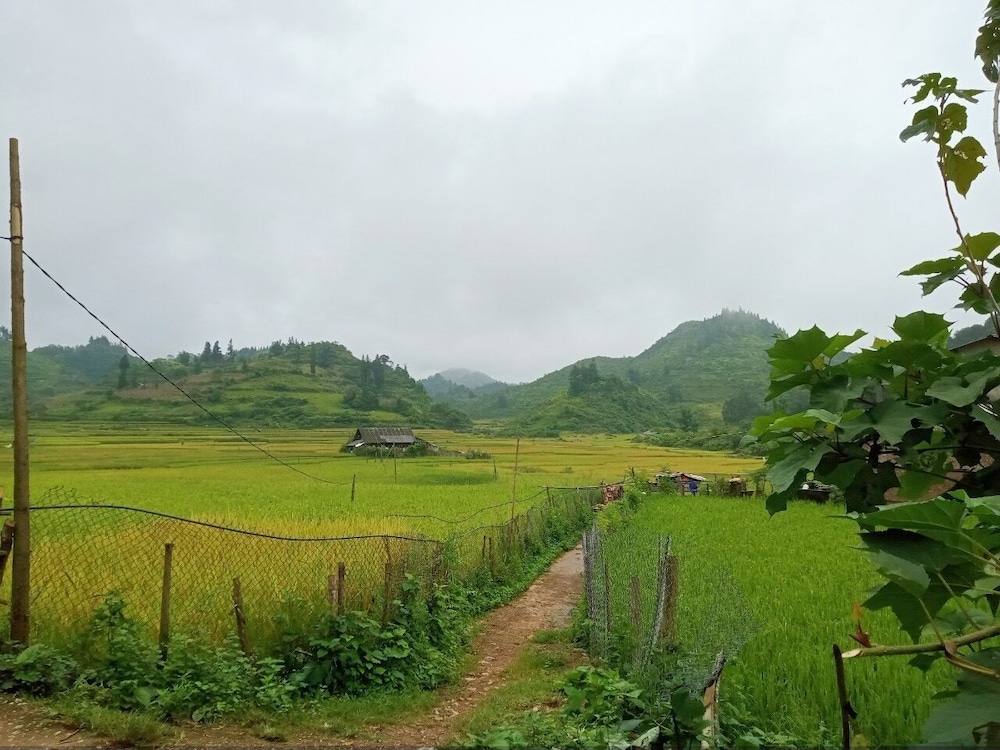 Bac Ha Charm Stay view 4