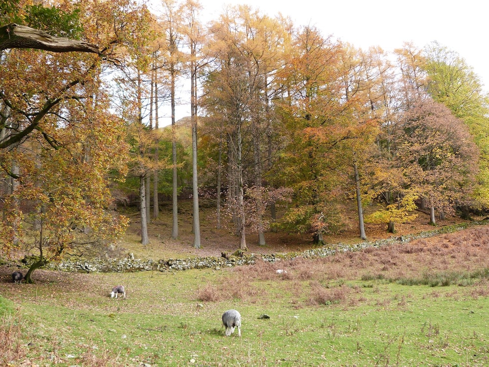 Maple - Woodland Cottages