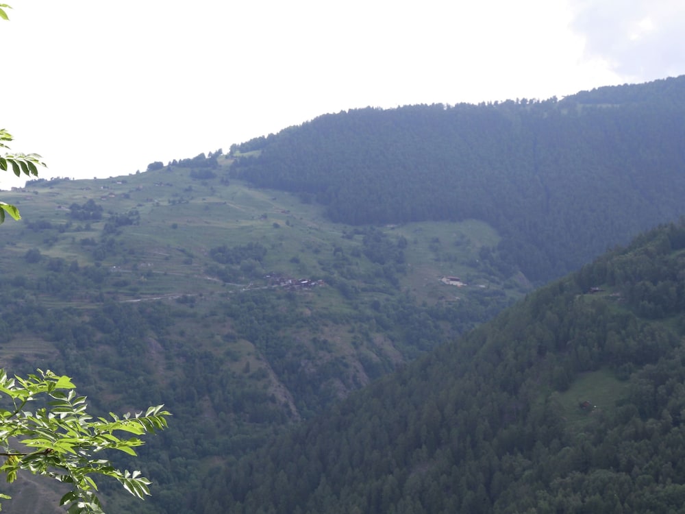 Detached Chalet Near Haute Nendaz view 5