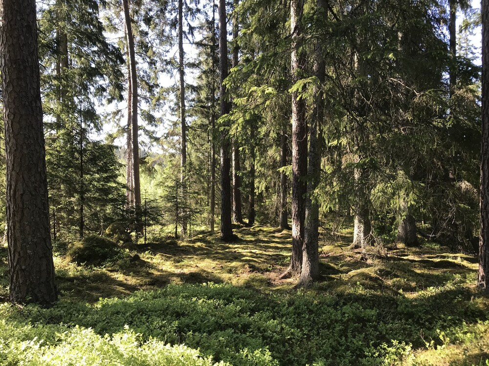 Smålandstorpet