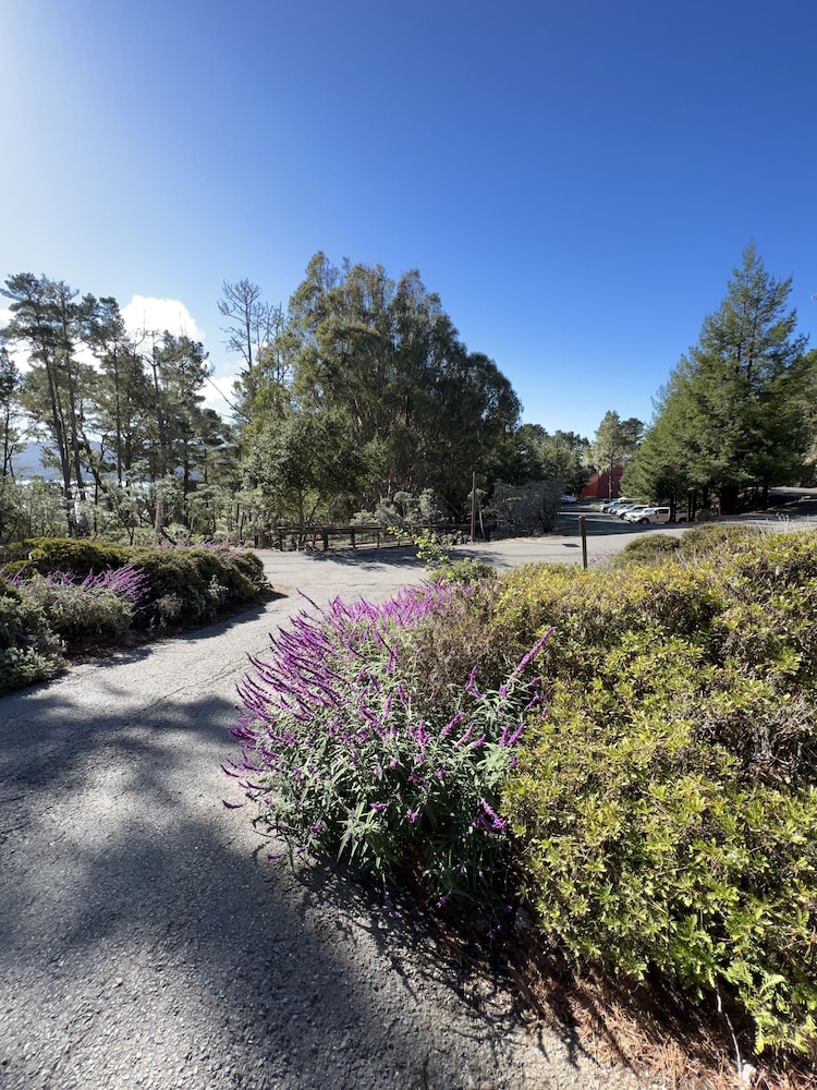 Lodge At Marconi 47